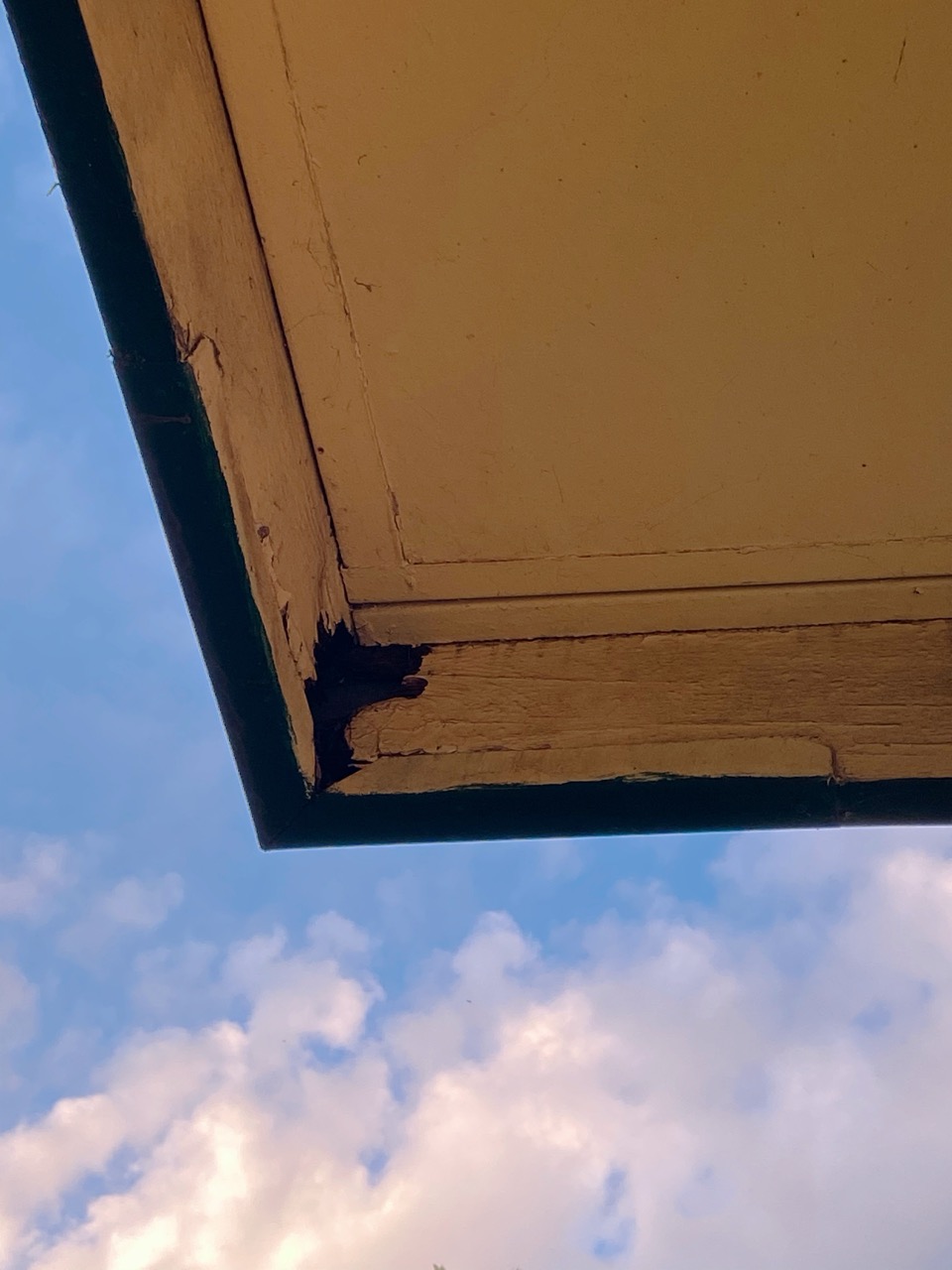 Damaged timber fascia before replacement
