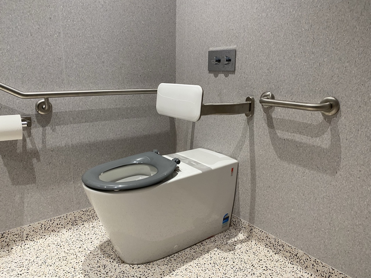 Accessible bathroom fitted with stainless steel grab rails